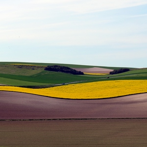 Champs de couleurs faisant des vagues - France  - collection de photos clin d'oeil, catégorie paysages